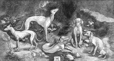 Group of Dogs. From the engraving of St. Eustace, by A. Durer, c1500, 1906 by Albrecht Dürer