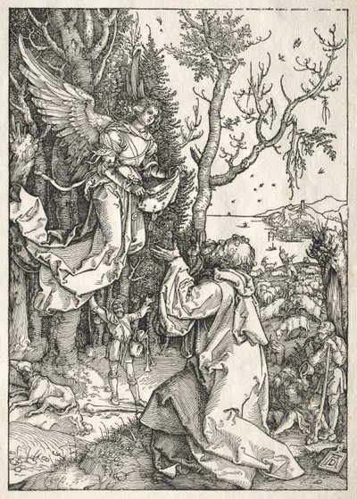 Life of the Virgin: Joachim and the Angel by Albrecht Dürer