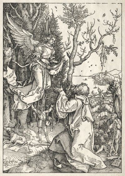 Life of the Virgin: Joachim and the Angel, c. 1504 by Albrecht Dürer