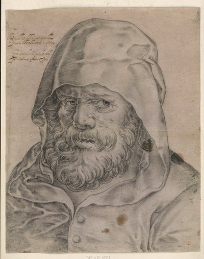Male Head en Face by Albrecht Dürer
