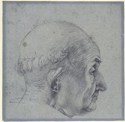 Male Head in Profile by Albrecht Dürer