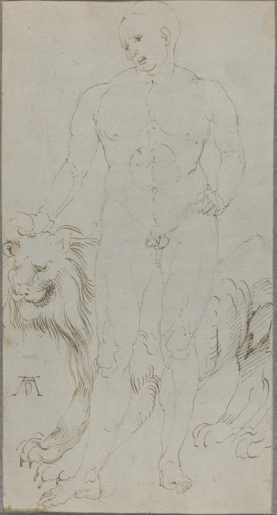 Male Nude with a Lion by Albrecht Dürer