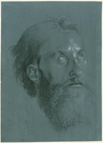 Head of an Apostle Turned to the Right by Albrecht Dürer