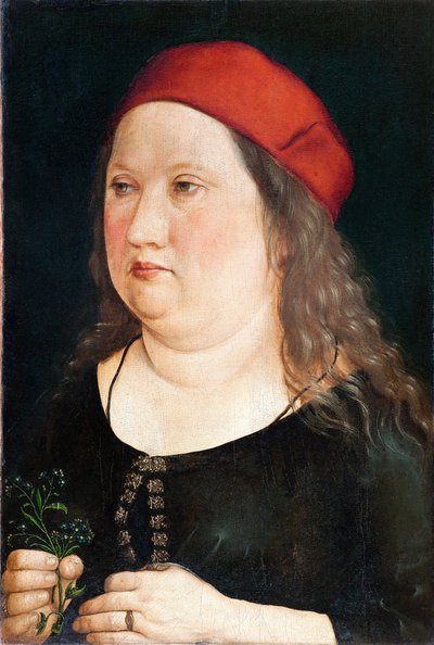 Portrait of a Man, 1497 by Albrecht Dürer