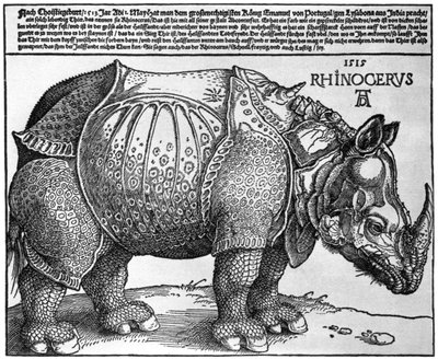 Rhinoceros, print given to Maximilian I by the King of Lisbon by Albrecht Dürer