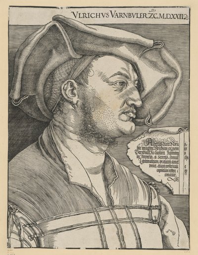 Ulrich Varnbüler by Albrecht Dürer