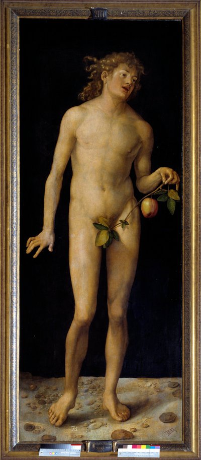 Adam by Albrecht Dürer