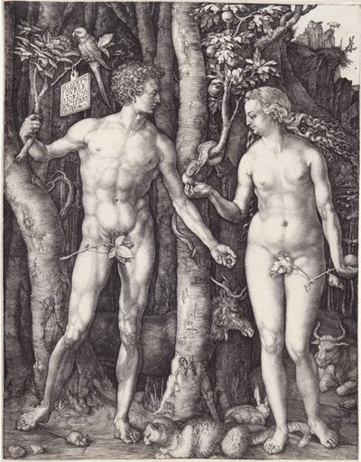 Adam and Eve by Albrecht Dürer