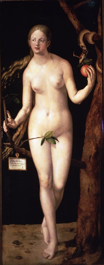 Eva by Albrecht Dürer or Duerer