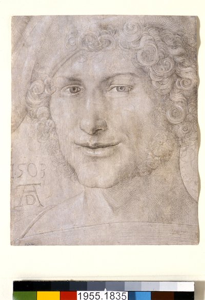 Head of a Young Man by Albrecht Dürer
