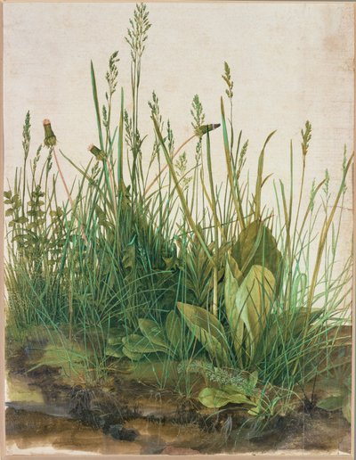 Large Clump of Turf by Albrecht Dürer or Duerer