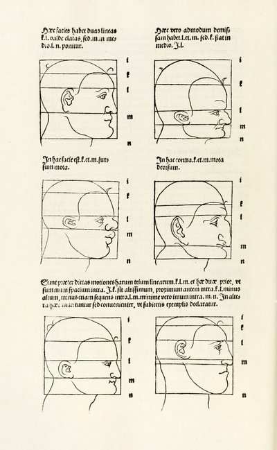 Proportions of the Human Head from 