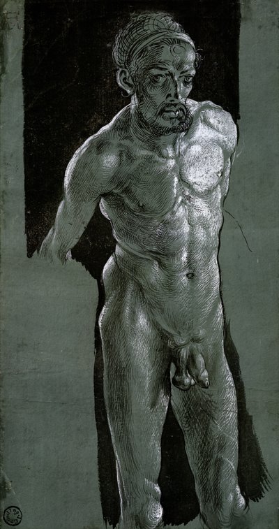 Self Portrait, c.1503 by Albrecht Dürer