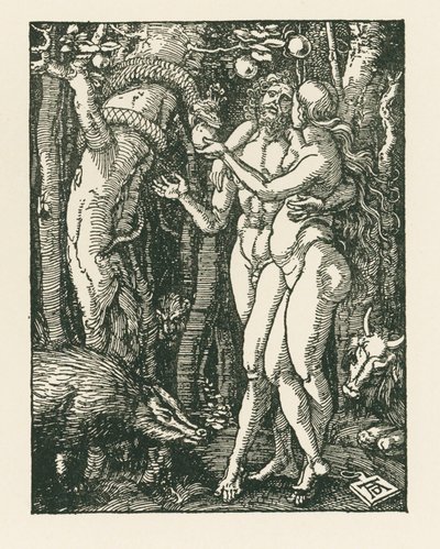 The Fall of Man, c.1510 by Albrecht Dürer or Duerer