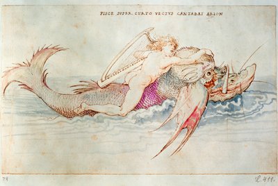 The Greek Poet Arion Riding the Dolphin, c.1515 by Albrecht Dürer or Duerer