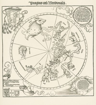 The Southern Hemisphere of the Celestial Globe by Albrecht Dürer or Duerer