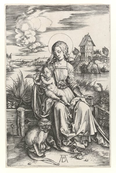The Virgin with the monkey, c.1498 by Albrecht Dürer