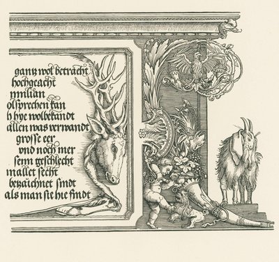 Triumphal Arch for Emperor Maximilian I by Albrecht Dürer or Duerer