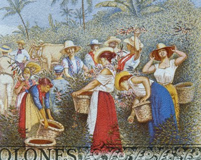 5 Colones Banknote by Aleardo Villa