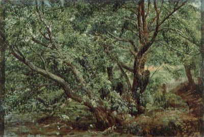 Trees by a Stream by Aleksandr Andreevich Ivanov