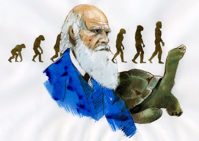Portrait of Charles Darwin (Illustration) by Alessandro Lonati