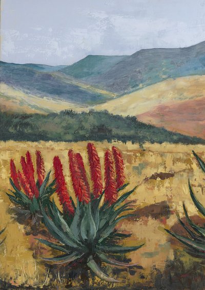 Red Aloe Hillside by Alex Cornell