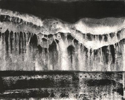 Dark Nature Abstraction by Alex Walsh