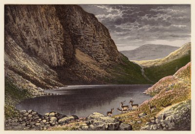 Scottish Loch Scenery: The Dhu Loch, Loch-na-gar by Alexander Francis (after) Lydon