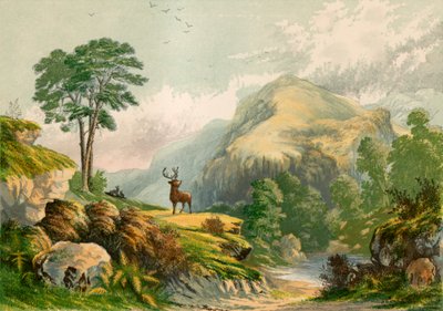 Illustration for Wilson