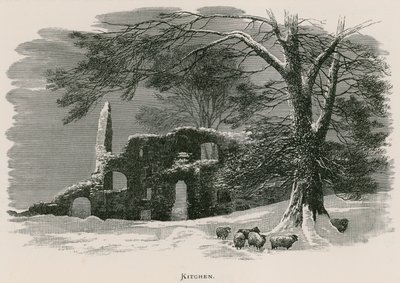 Kirkstall Abbey, Kitchen by Alexander Francis Lydon