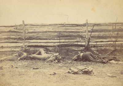 View in the Field, On the West Side of the Hagerstown Road, After the Battle of Antietam, 1862 by Alexander Gardner