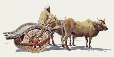 A Bullock Cart, Jodhpur by Alexander Henry Hallam Murray