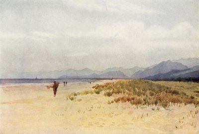 The Sea-Coast North of Viareggio by Alexander Henry Hallam Murray