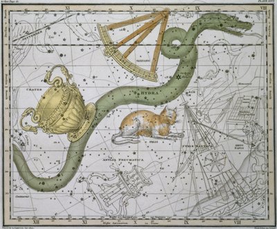 Hydra, from 