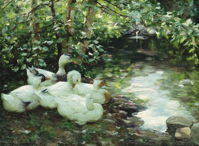 Five ducks on the river, Stony shore by Alexander Koester