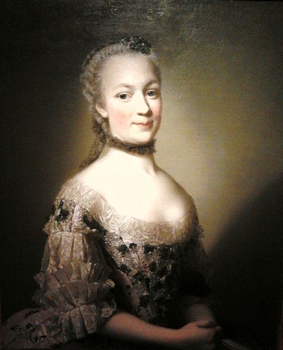 Portrait of Katarzyna Mniszech née Zamoyska by Alexander Roslin