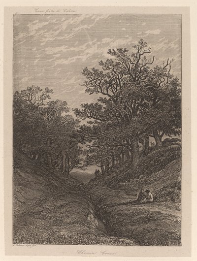 Hollow Path by Alexandre Calame