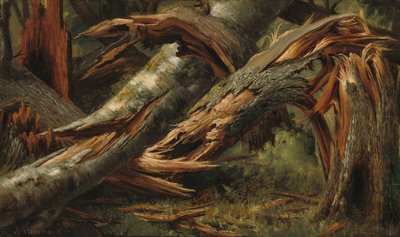 Fallen Tree by Alexandre Calame
