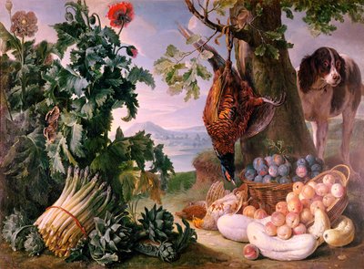 Still Life with Asparagus by Alexandre Francois Desportes