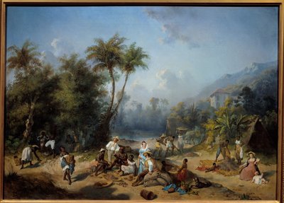 A Cocoa Plantation in the West Indies by Alexandre Solde