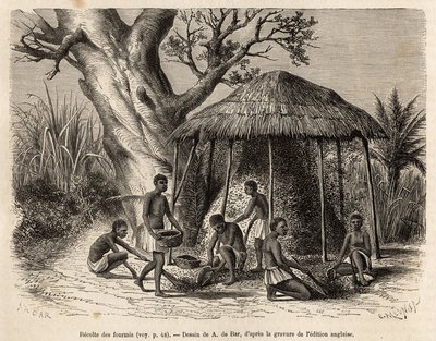 The Collection of the Ants by Alexandre de (after) Bar
