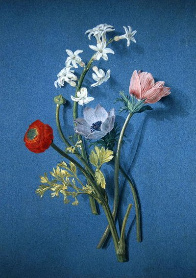 Ranunculus, anemones and jasmine by Alexis Nicolas Perignon