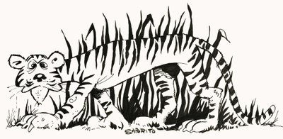 Fact-Finder: Why Are Tigers Striped? by Alf Saporito