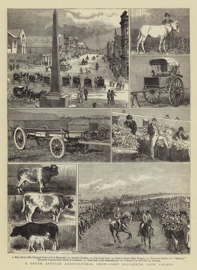 A South African Agricultural Show, Port Elizabeth, Cape Colony by Alfred Chantrey Corbould