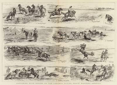 Capturing Wild Horses on the Laramie Plains, North Western America by Alfred Chantrey Corbould