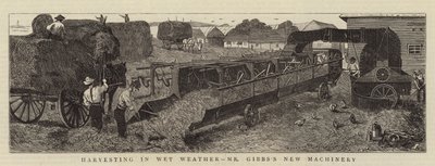Harvesting in Wet Weather, Mr Gibbs