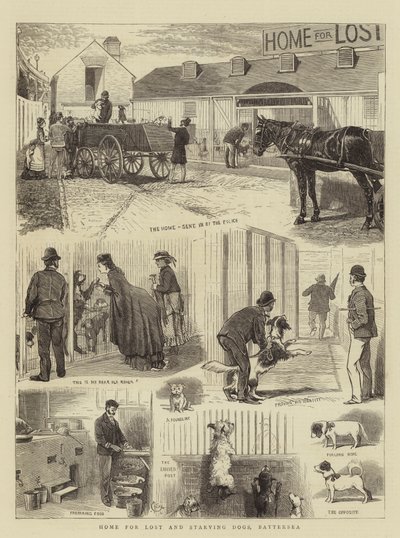 Home for Lost and Starving Dogs, Battersea by Alfred Chantrey Corbould