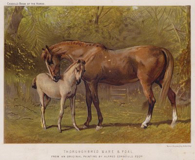 Thoroughbred Mare and Foal by Alfred Chantrey Corbould