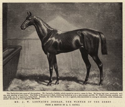 Mr J W Larnach