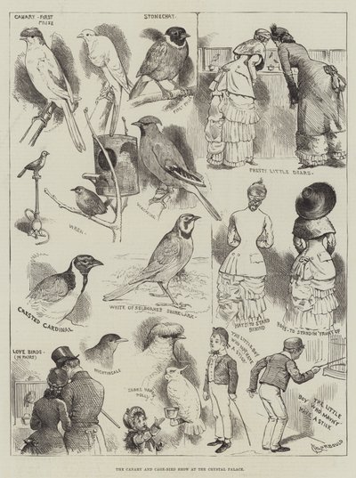 The Canary and Cage-Bird Show at the Crystal Palace by Alfred Courbould